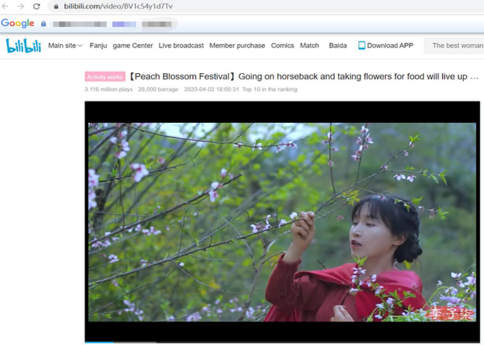 How to Download Blibili Video with High Quality