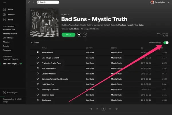 How to Download Spotify Playlists to MP3 (2022 Guide)