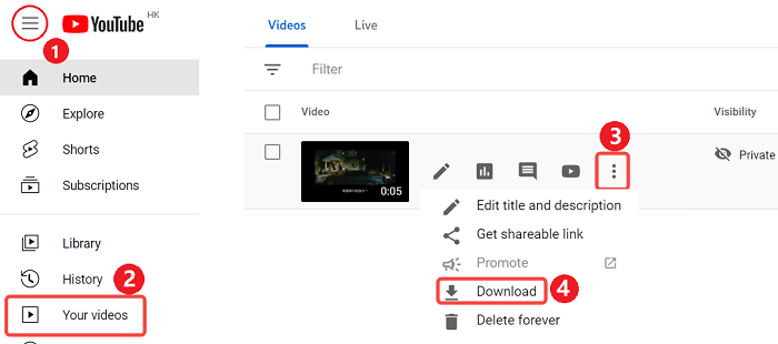 How to Download Private YouTube Videos of Anyone (Free)