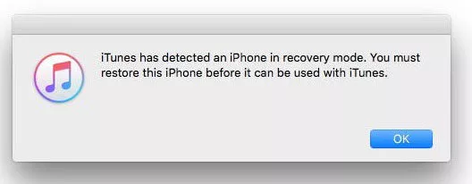iPhone Recovery Mode Not Working? 5 Ways to Fix It
