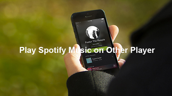 Eine Anleitung zum Abspielen von Spotify-Musik auf anderen Playern