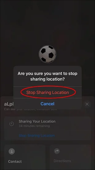 What Does Live Mean on Find My? How to Turn It On &amp; Off?