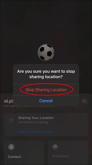 Apa Arti Live di Find My? Bagaimana Cara Menghidupkan & Mematikannya?