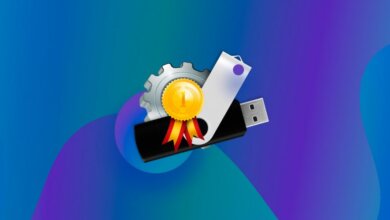 Maualuga 10 Flash Drive Recovery Software