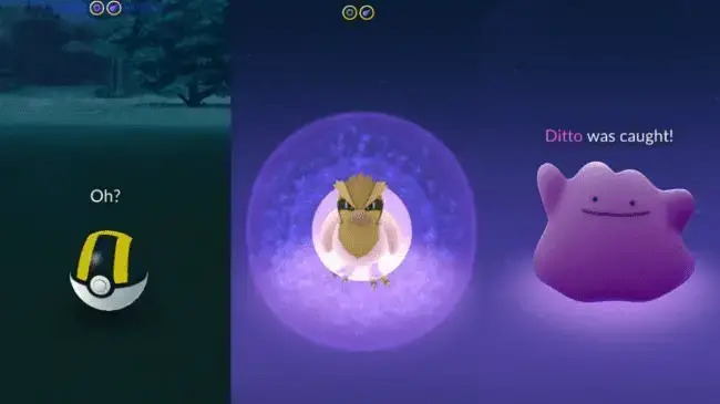 Hvordan fange en ditto i Pokémon Go