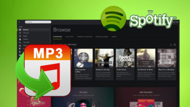 Jinsi ya Kupakua Spotify URL kwa MP3