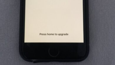 5 Ways to Fix iPhone Stuck on Press Home to Upgrade
