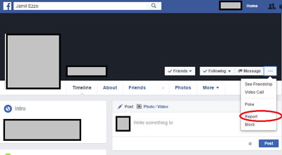 Report Posts or Account
