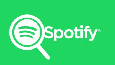 4 Solutions to Fix Spotify Search Not Working