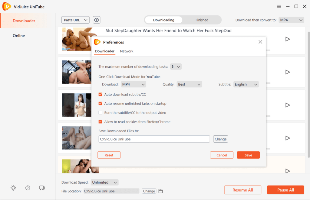 set up Online Video Downloader